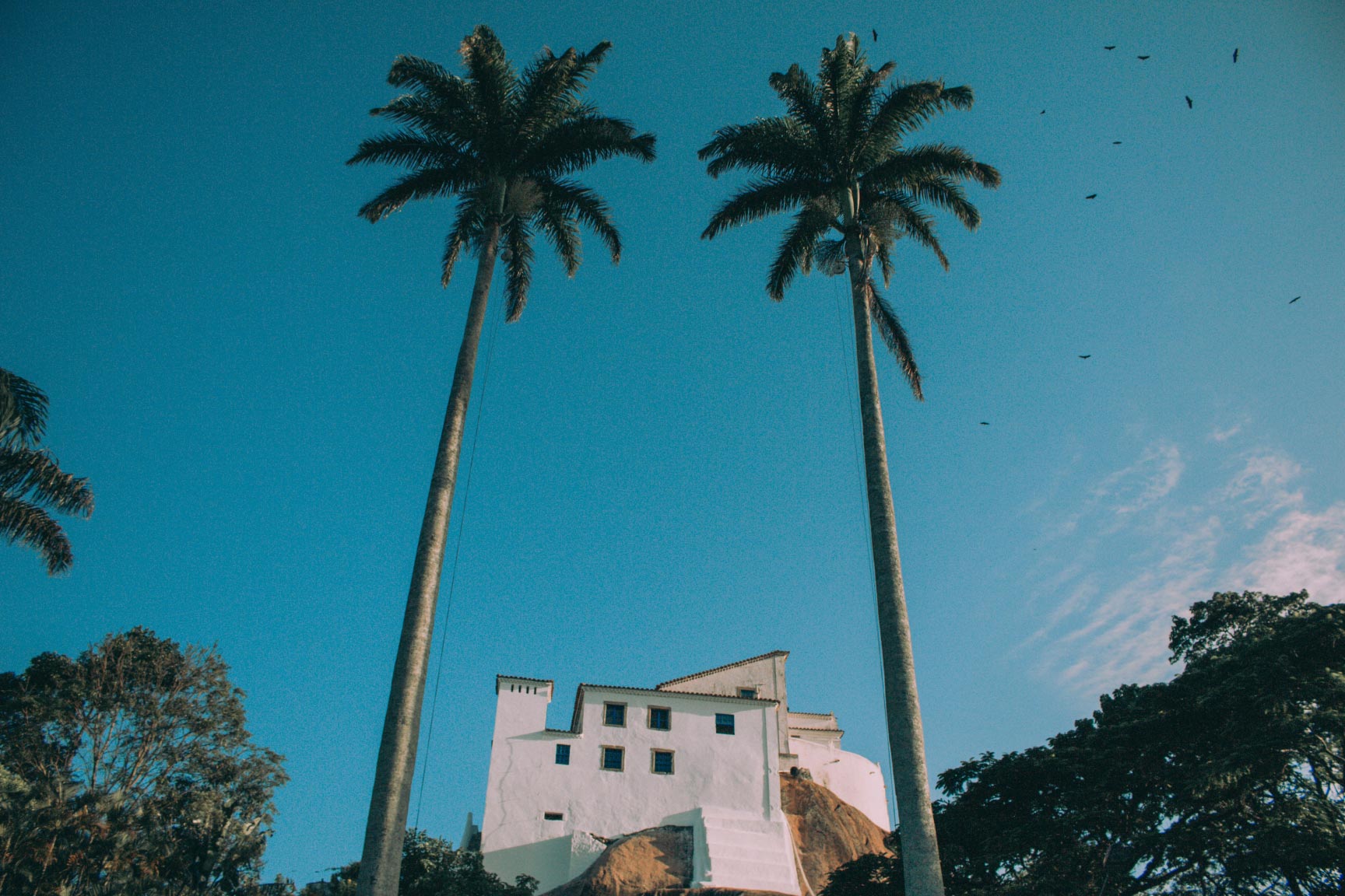 bg
